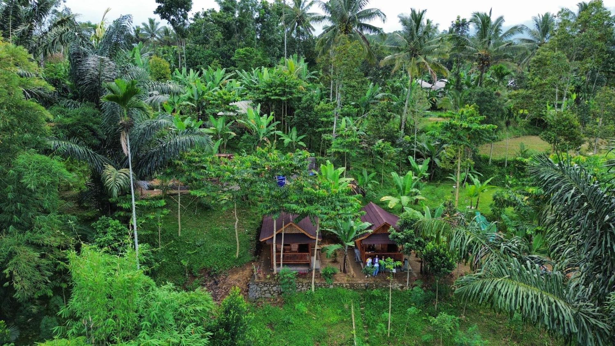 Serenity Lodge Tetebatu Lombok Esterno foto