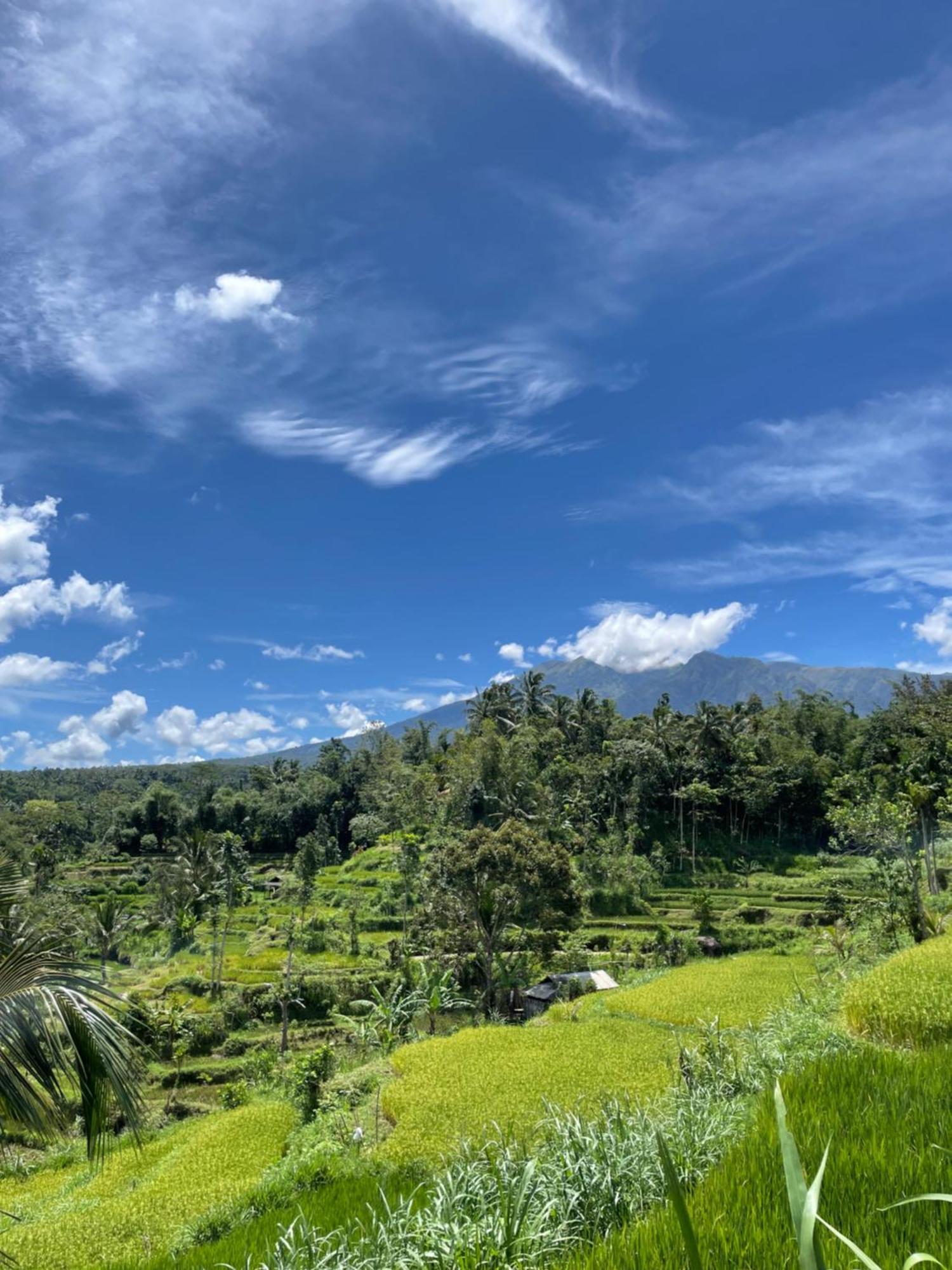 Serenity Lodge Tetebatu Lombok Esterno foto